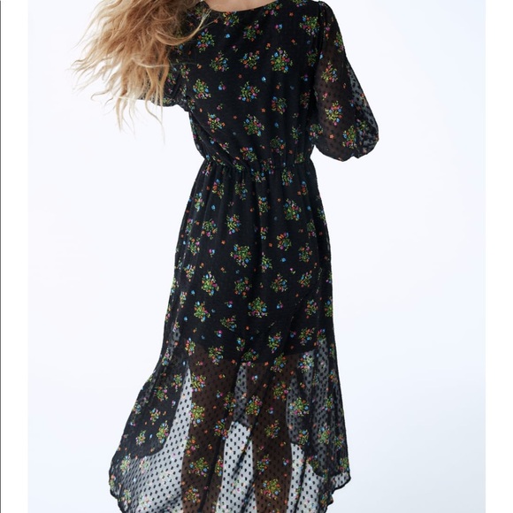 Zara Printed Dotted Mesh Dress - Picture 2 of 7